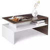 Modern Console Table Coffee Table 2-tier Rectangular Storage Open Shelf Table for Living Room Sitting Room Home Furniture