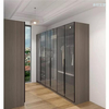 Modern Closets Wall Wardrobe Bedroom Furniture Door Dressing Grey Glass Home Furniture Swing Wardrobe,bedroom Furniture Wooden